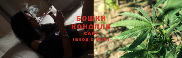 PSILOCYBIN Алзамай