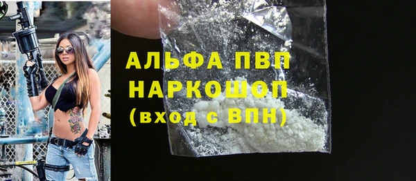 гашик Дмитриев