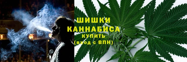 PSILOCYBIN Алзамай